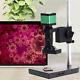 Industrial C-mount Digital Video Electron Microscope Camera Hdmi 1080p 60fps